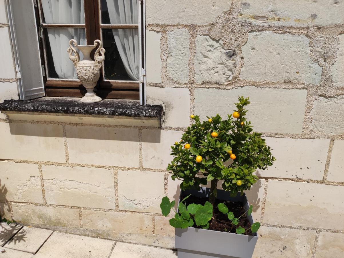 Le Manoir Des Roches Bed & Breakfast Bourre Exterior photo